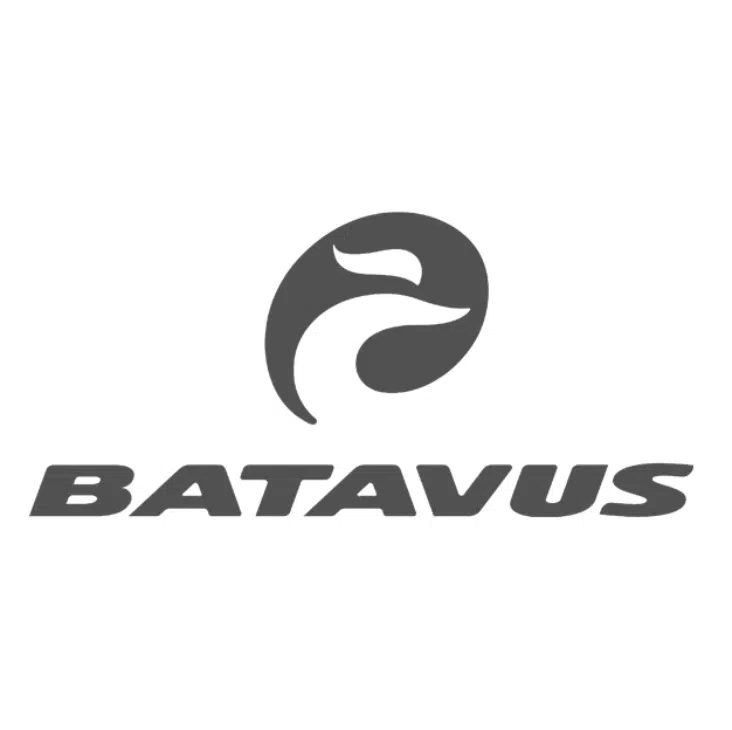 Batavus-Fietsen (1)