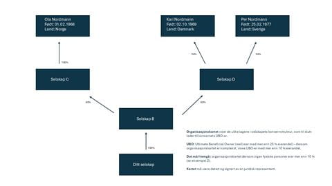 Eksempel p organisationsdiagram 1