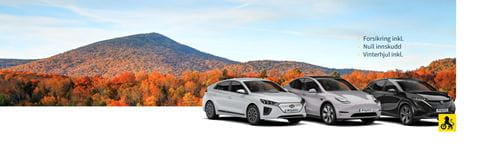 naf_re_lease_autumn_1-2