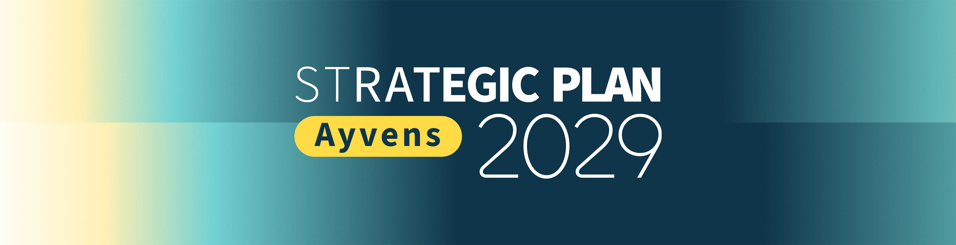 strategic-plan-2029-banner