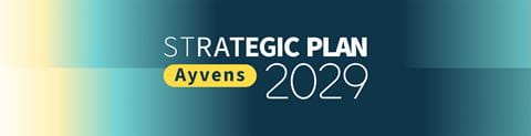 strategic-plan-2029-banner