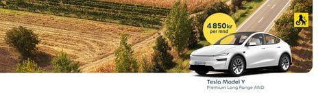 hero-banner-tmy_late_summer_2026_v1-1