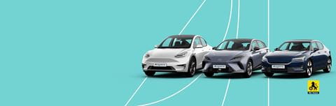 hero-banner-winter_naf_re-lease_v1-2