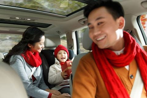 Família feliz dentro de um carro