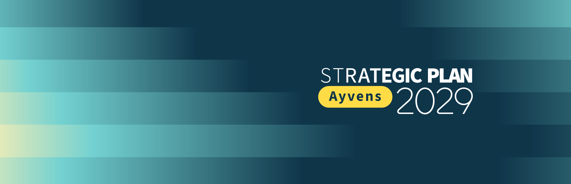 strategic plan 2029