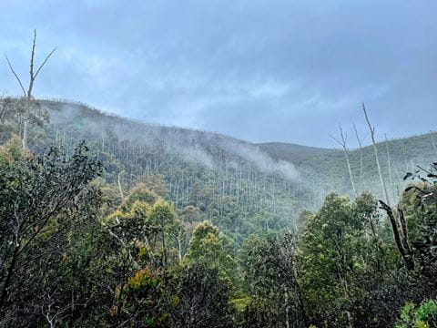 Mountains in mist and fog