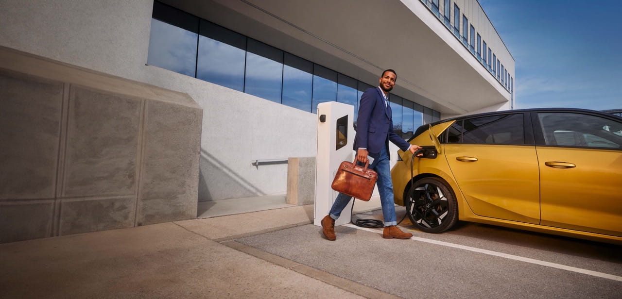 ayv_sust 2 visual - extra background Large