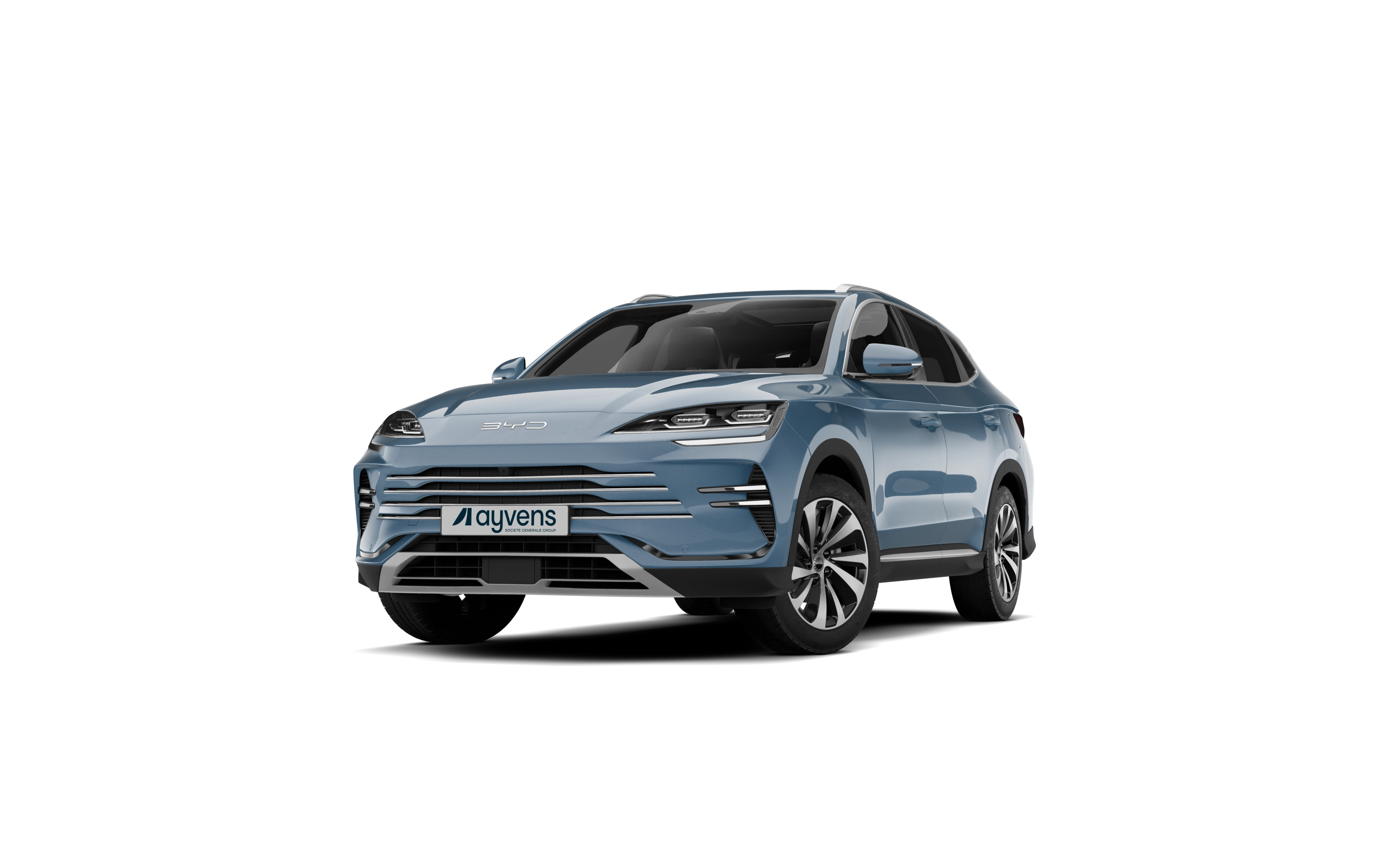 seal-u-angle23-pc0009