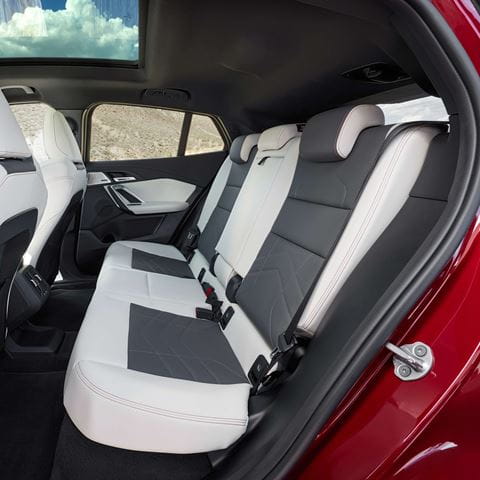 BMW ix2 detail 4 cropped