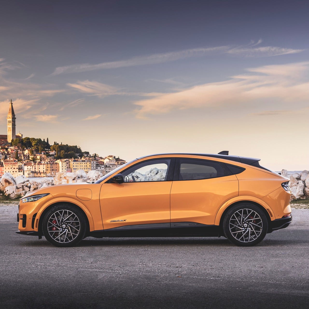 mustangmachecity 1 Large