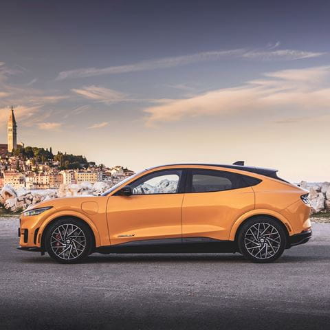 mustangmachecity 1 Large