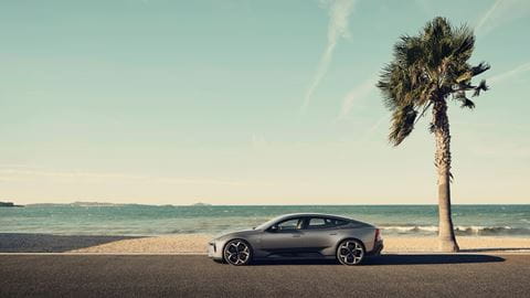 Polestar 5 palm tree