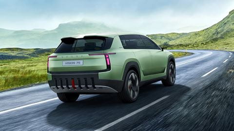 peaq-back angle mountain