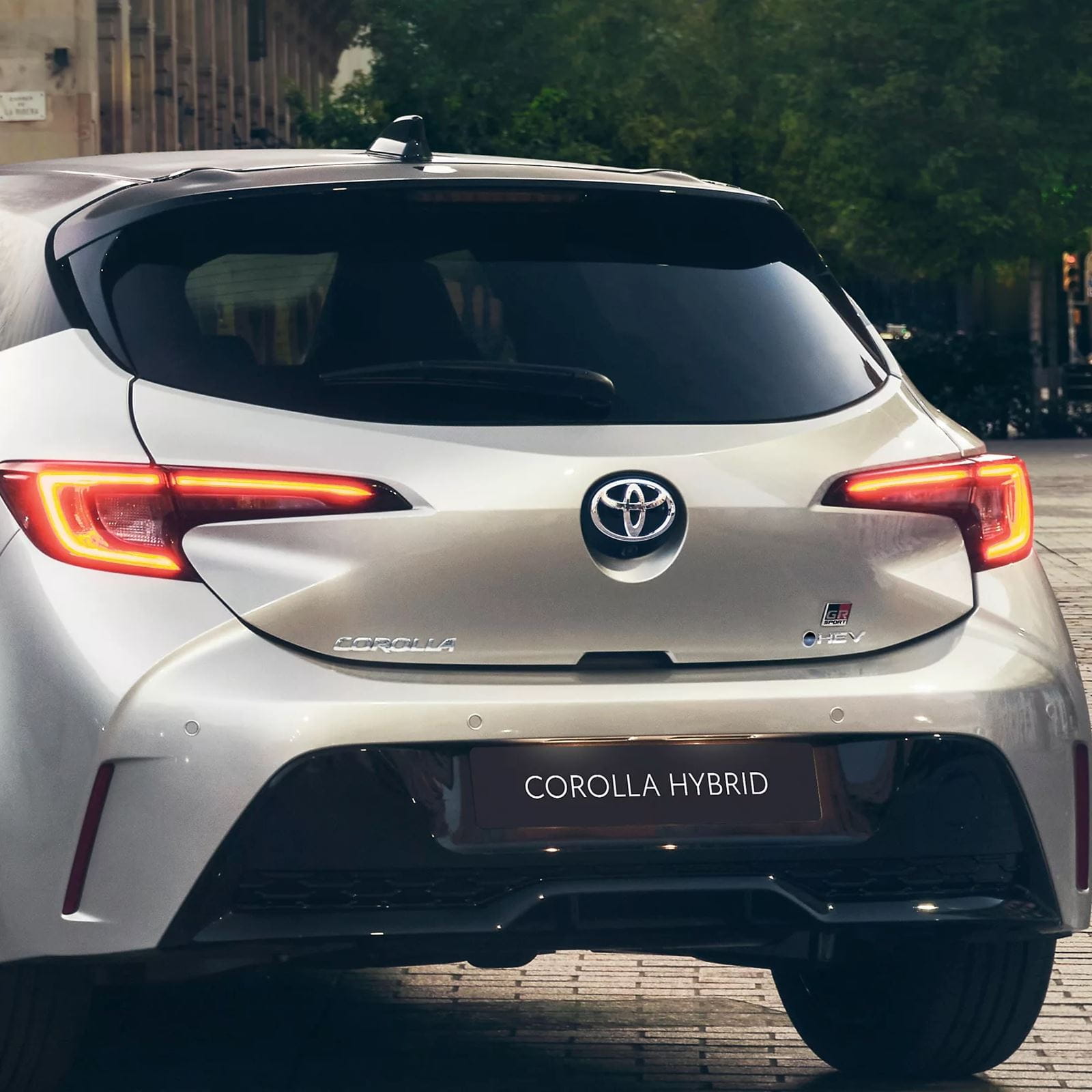 corolla-back