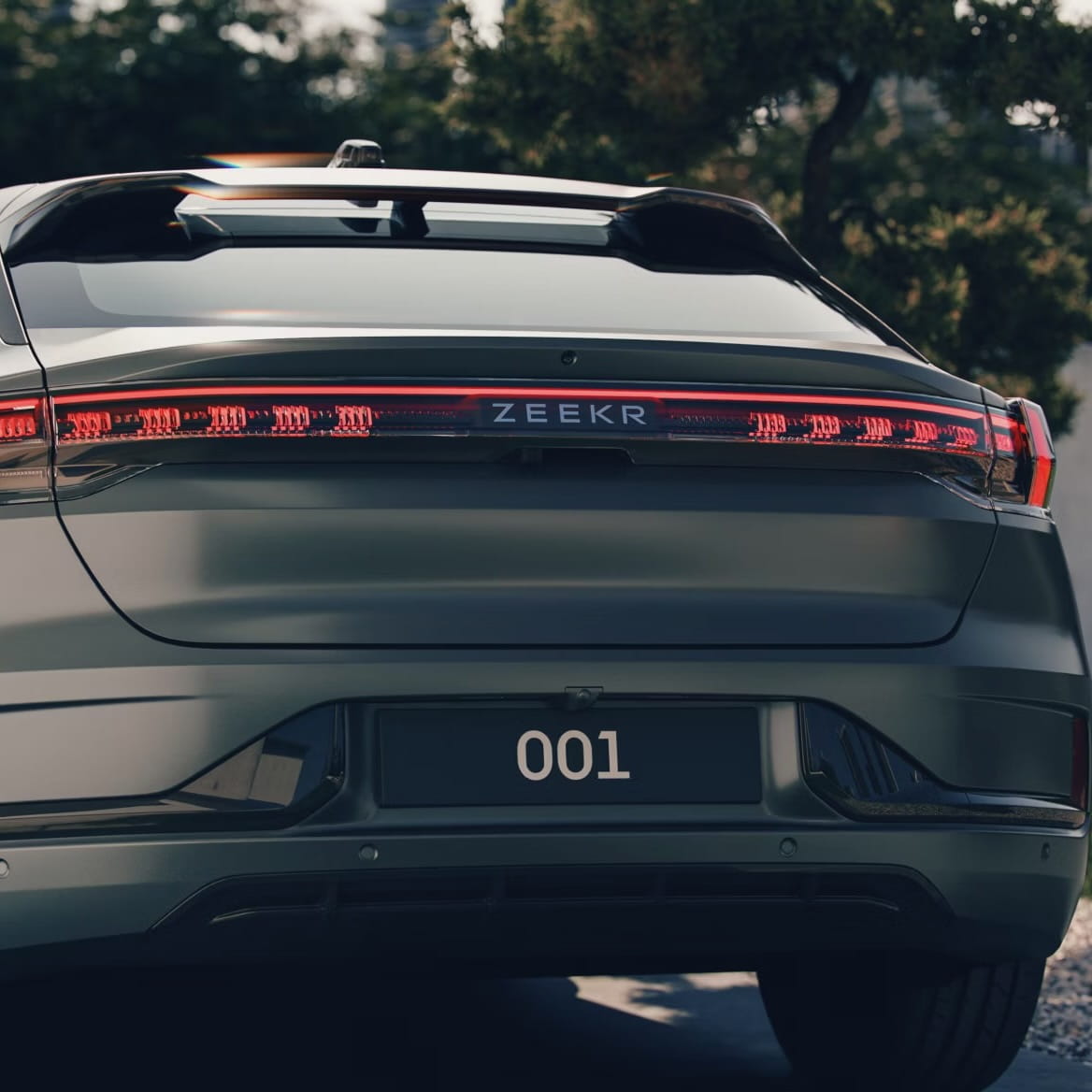 001-back details (1)