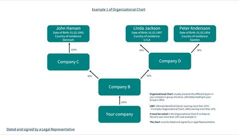 Organizational chart 1