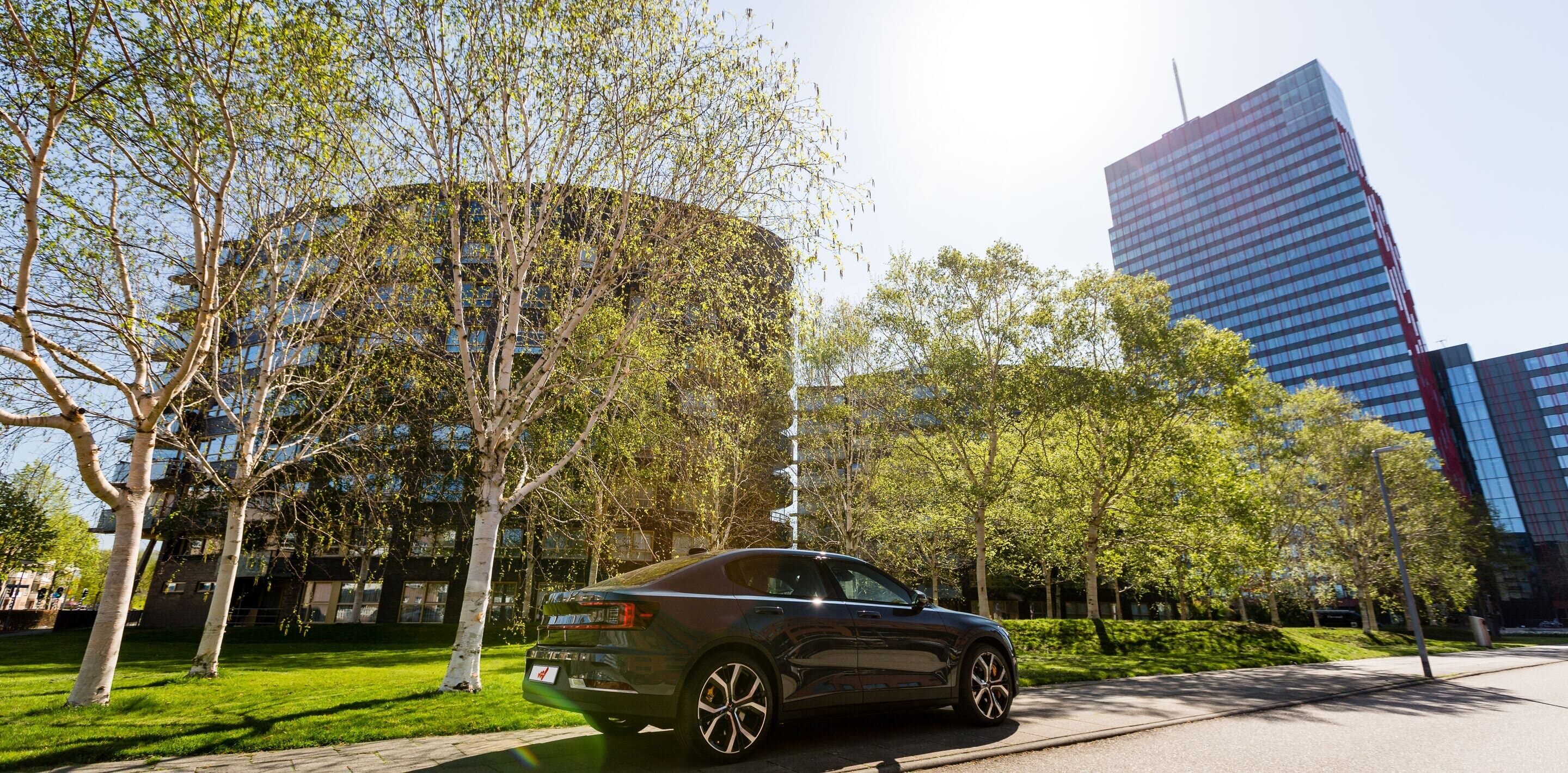 Website header large-NL_22_98 1