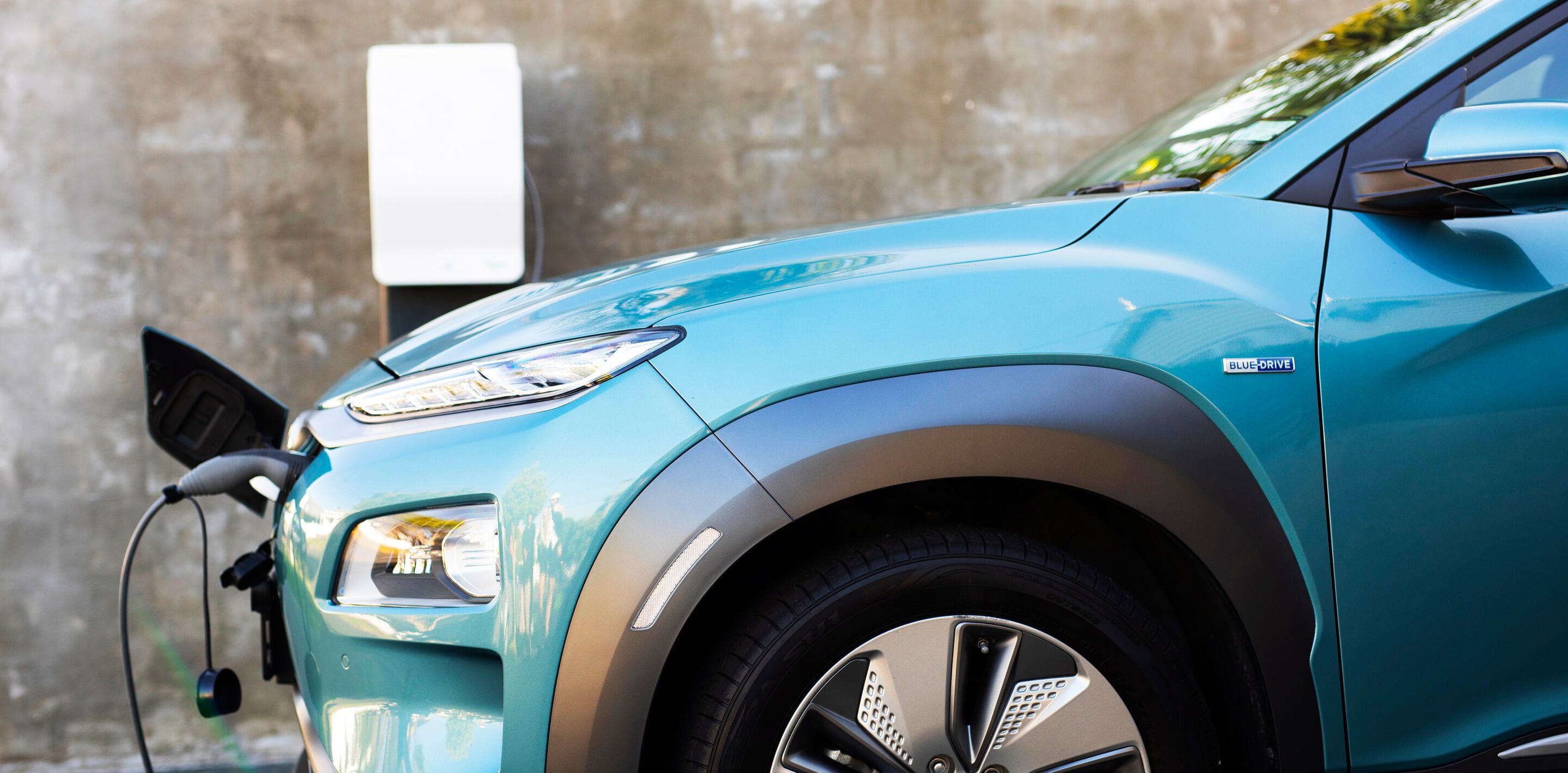 Website header large-NZ_20_176