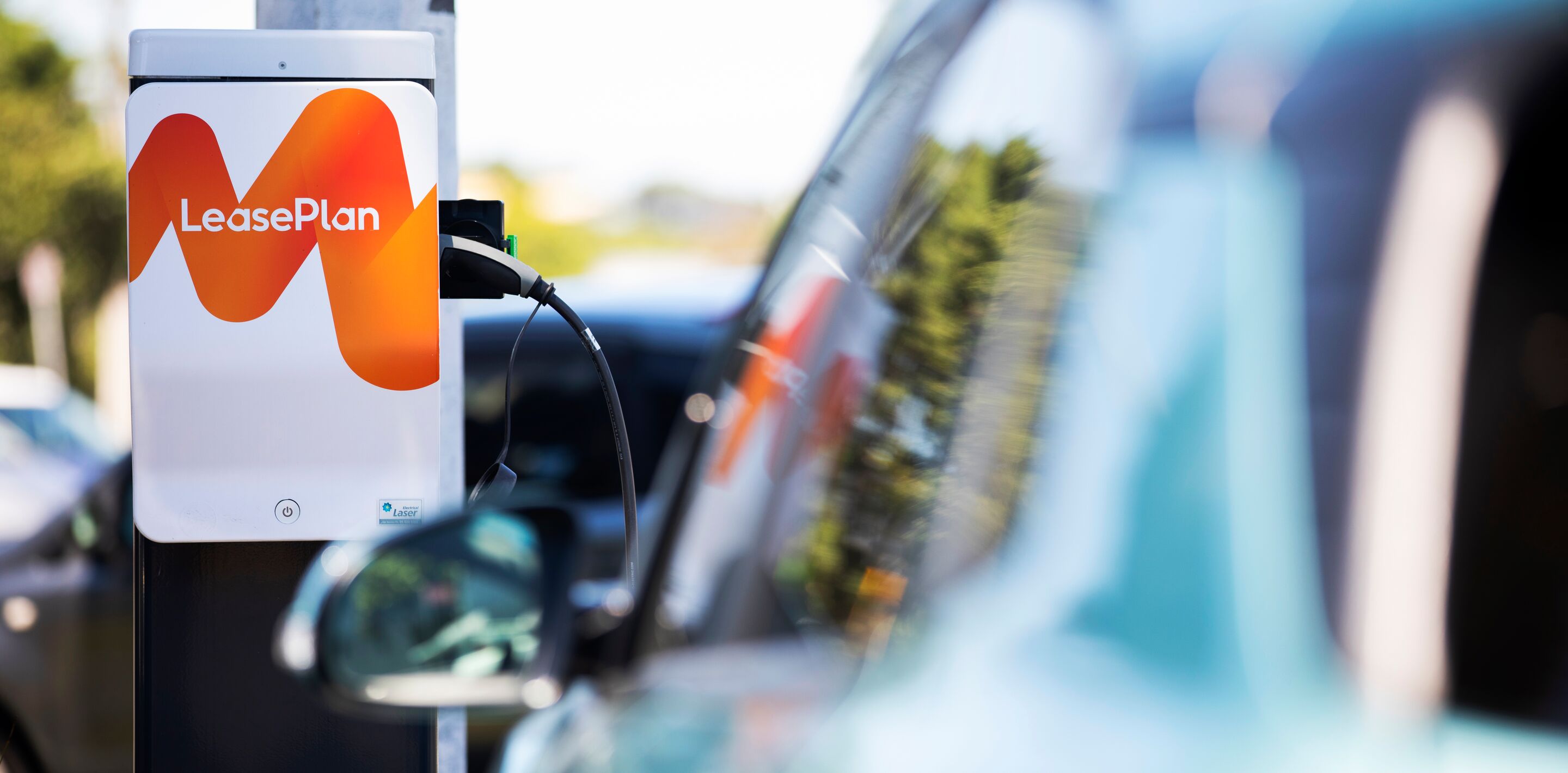 Website header large-NZ_20_315