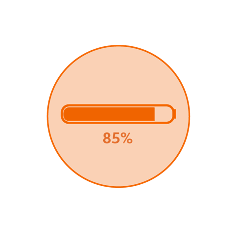 Battery Charge Level