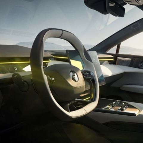 emeya-steering wheel