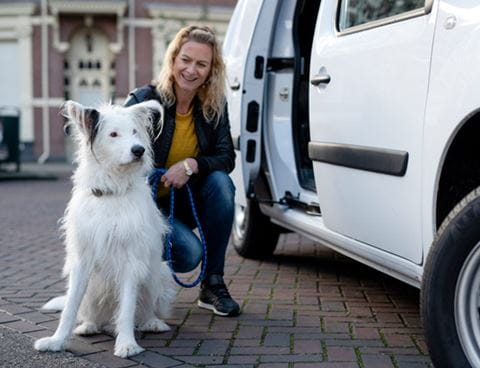 trasporto-cani-in-auto