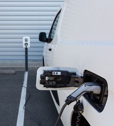 Large JPG-NL_22_2855