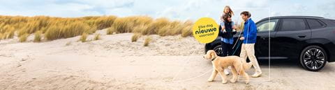 ayv_2025_sitecore_hero_re-lease_03