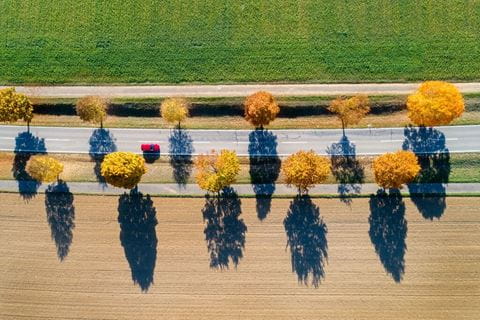 Carro na estrada no meio do campo